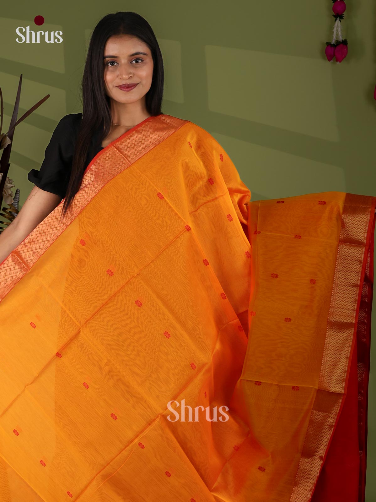 Maheshwari silkcotton Saree - EJ03103