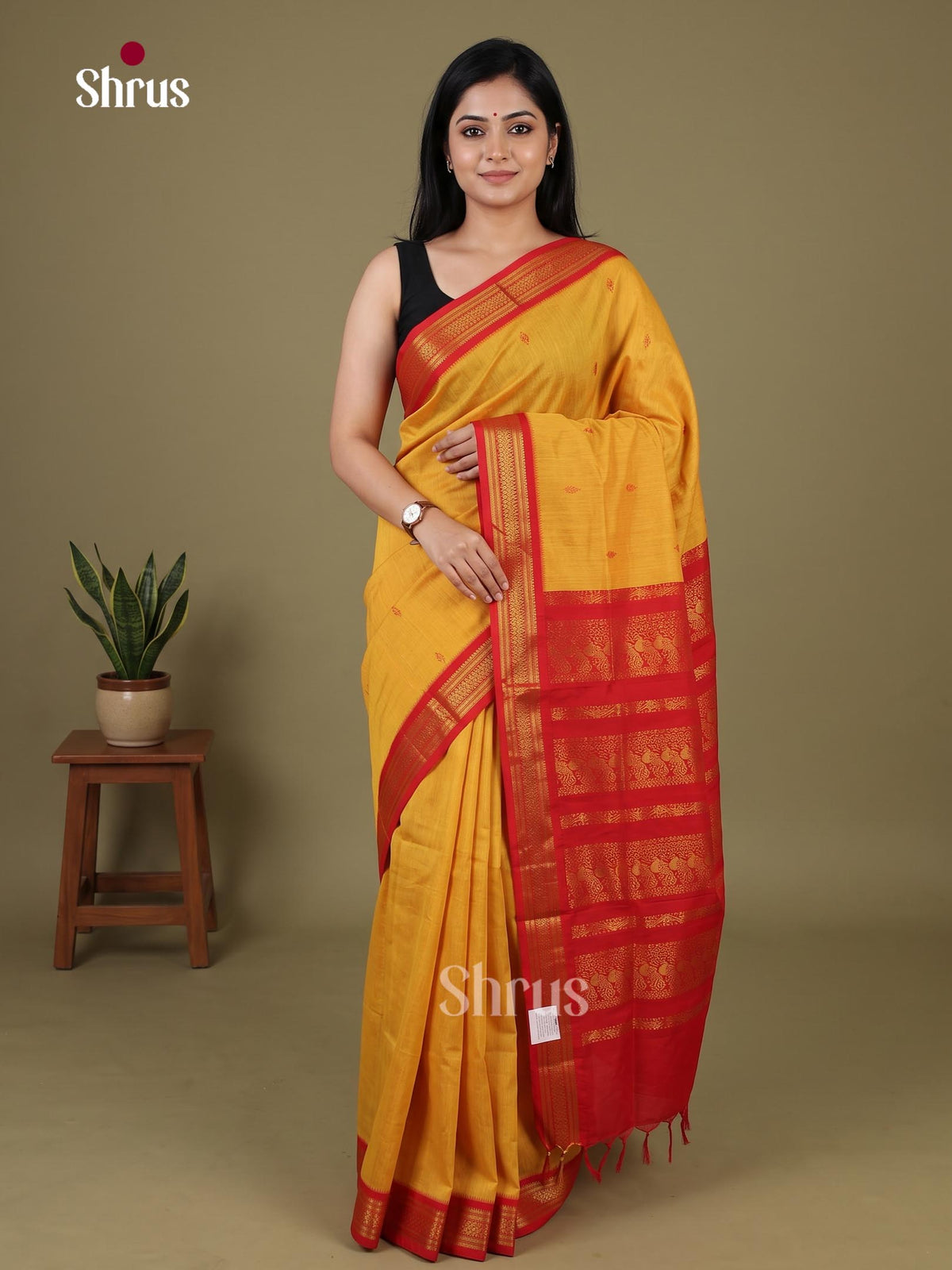 Kalyani Cotton Saree - EJ04101