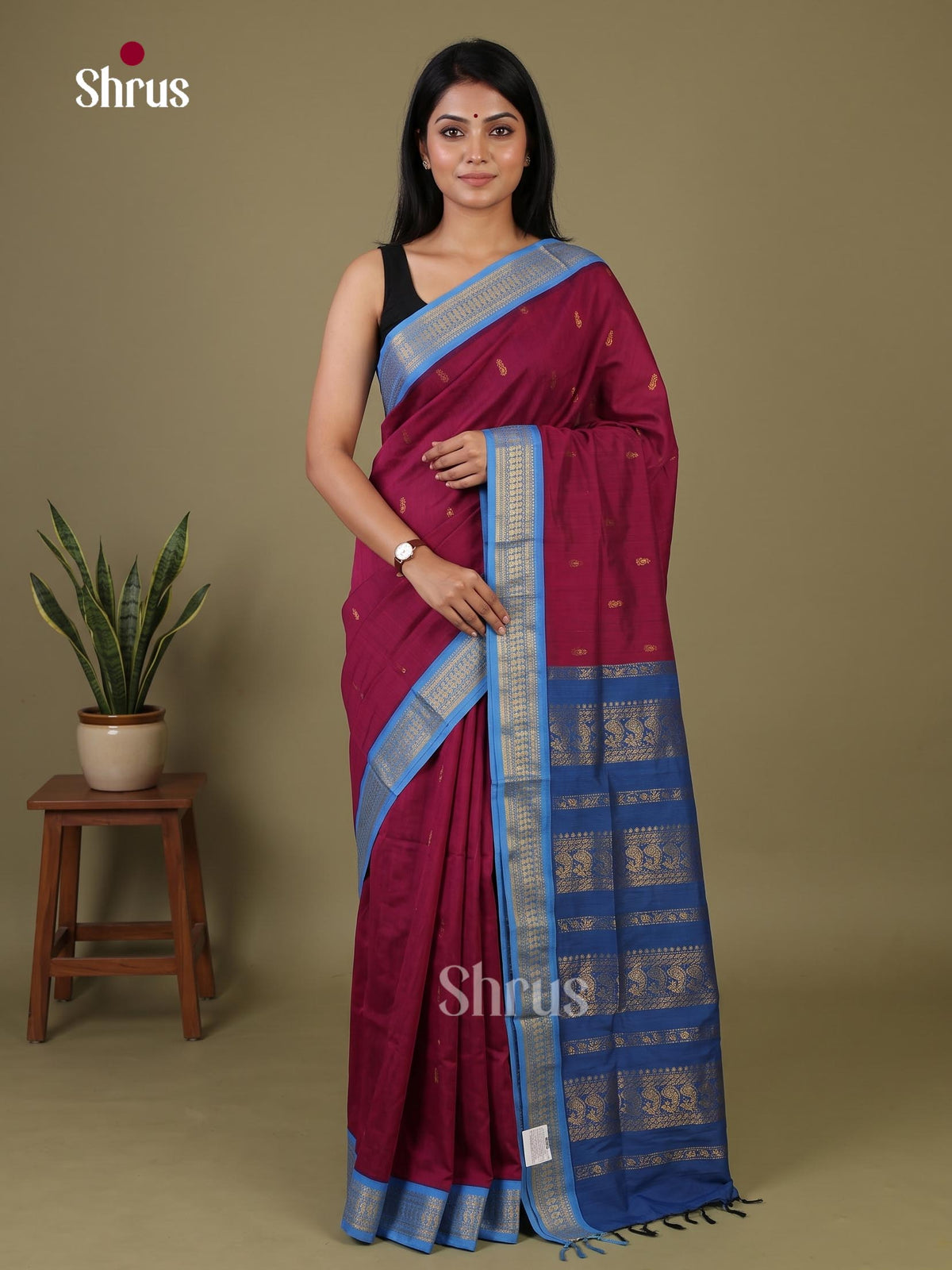 Kalyani Cotton Saree - EJ04118