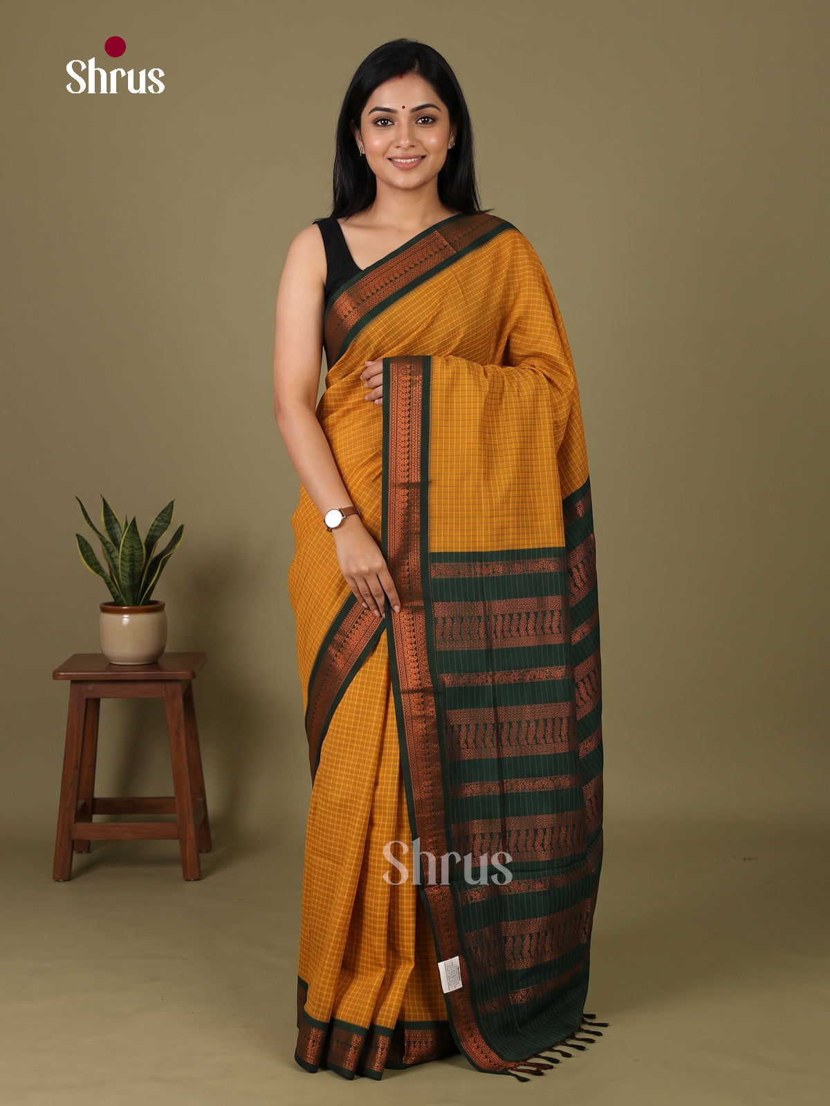 Kalyani Cotton Saree - EJ04179