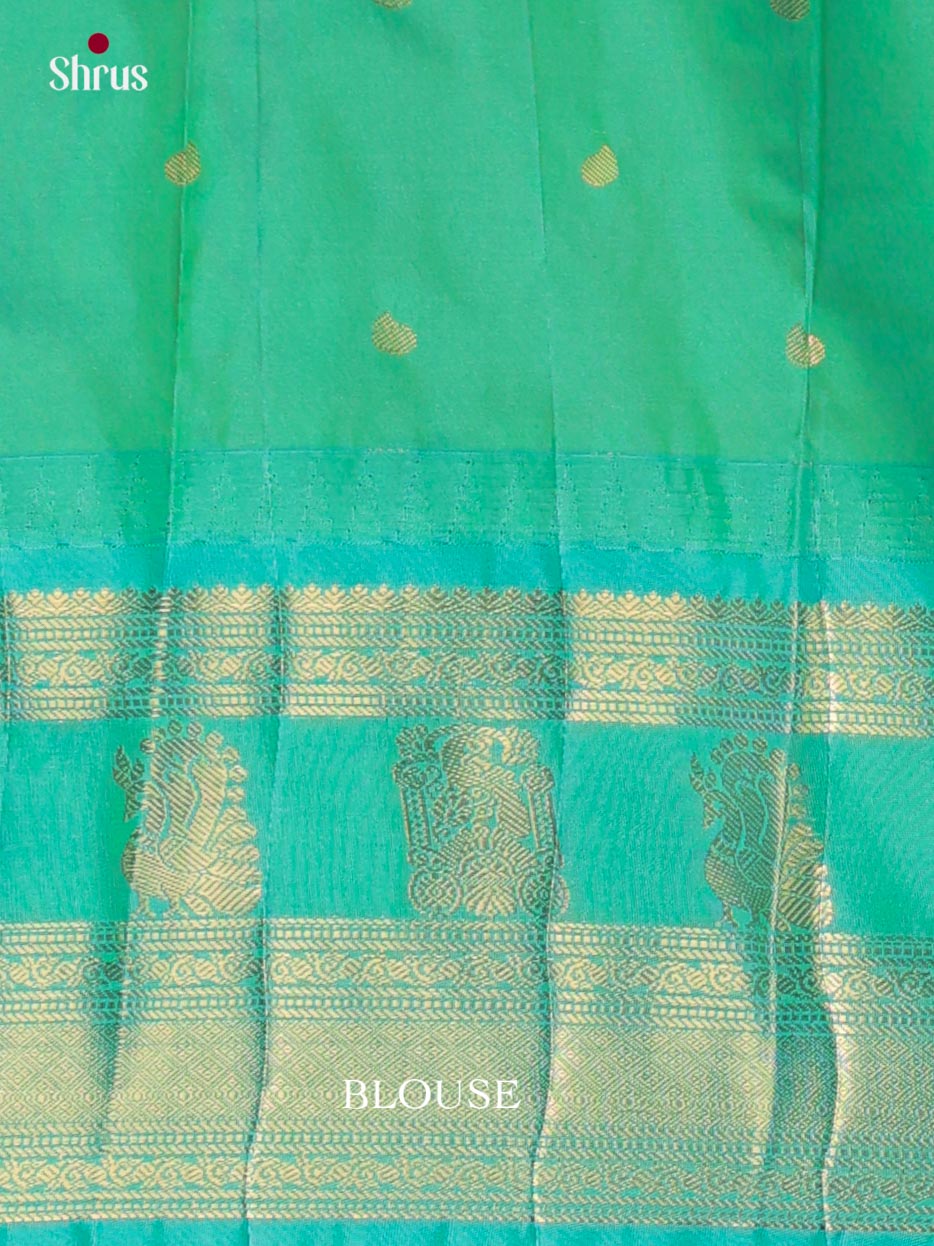Semi Paithani Saree - EJ04362