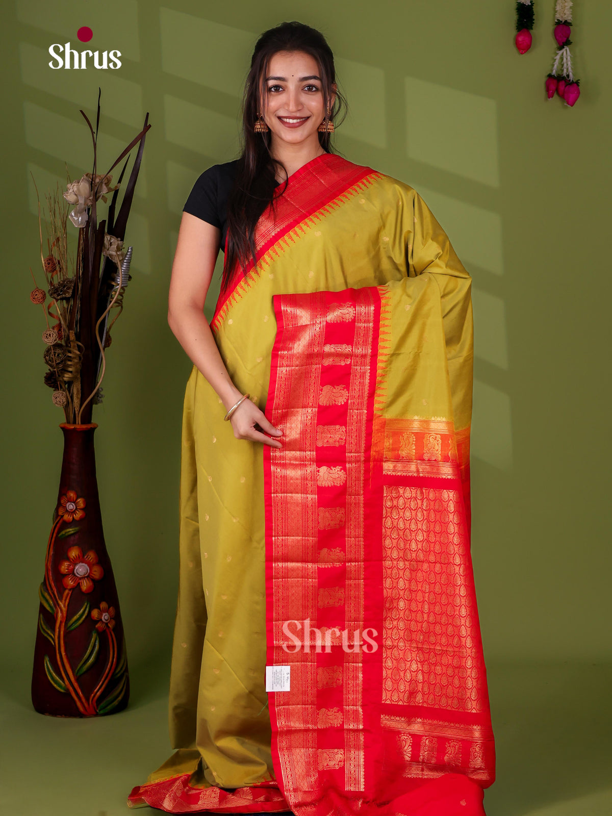 Semi Paithani Saree - EJ04379