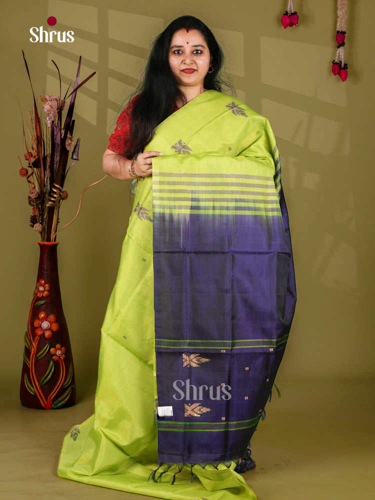 Banana Pith Saree - EJ05373