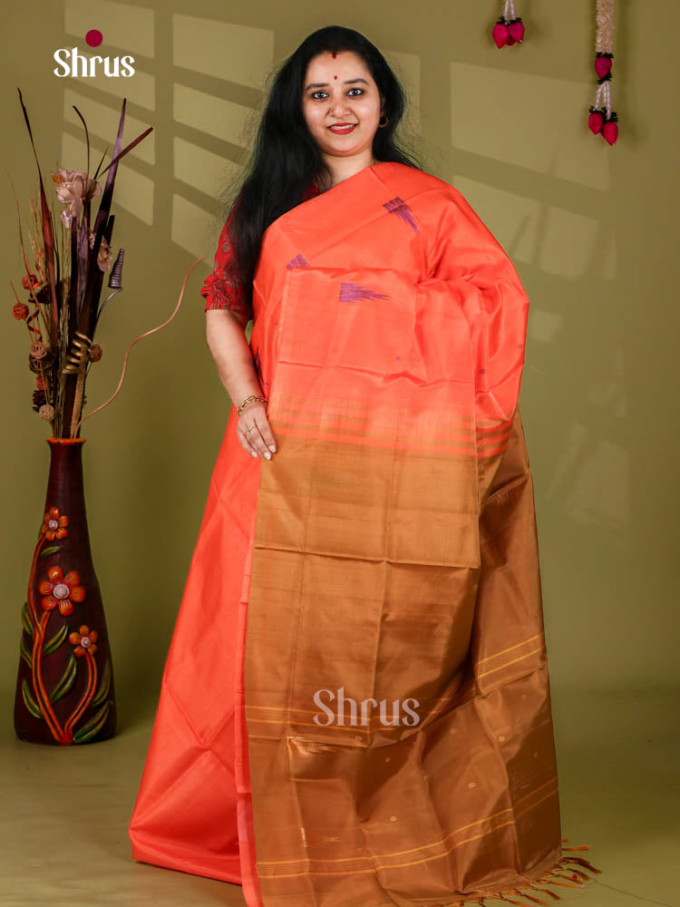 Banana Pith Saree - EJ05386