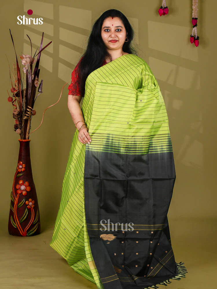 Banana Pith Saree - EJ05411