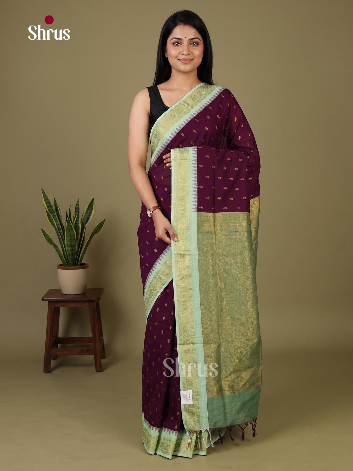 Kalyani Cotton Saree - EJ08368