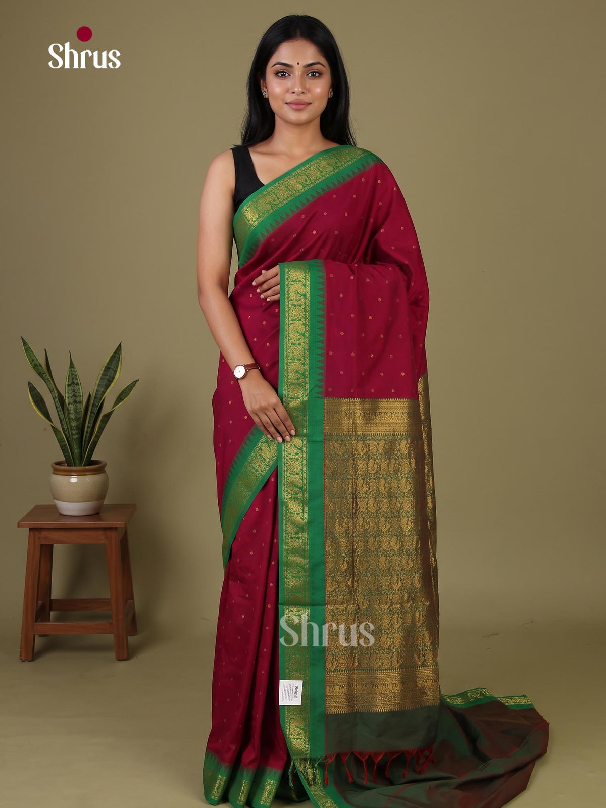 Kalyani Cotton Saree - EJ08369