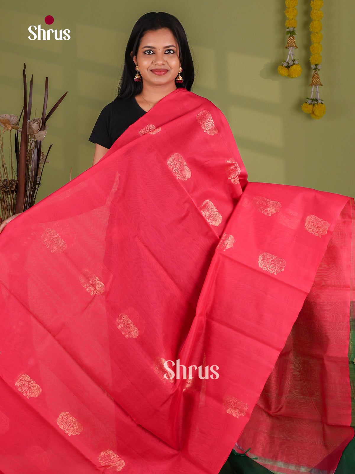 Silk Cotton Saree - EJ08549