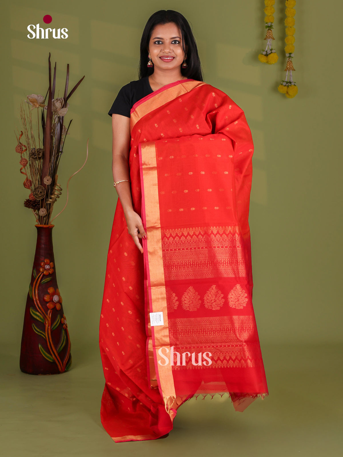 Silk Cotton Saree - EJ08556