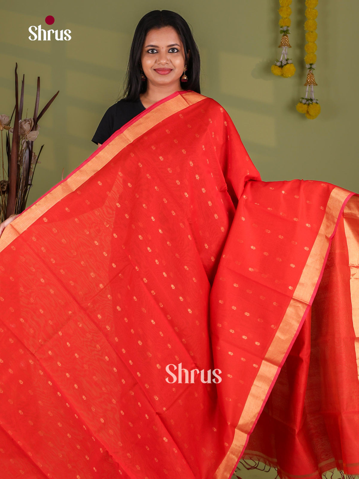 Silk Cotton Saree - EJ08556
