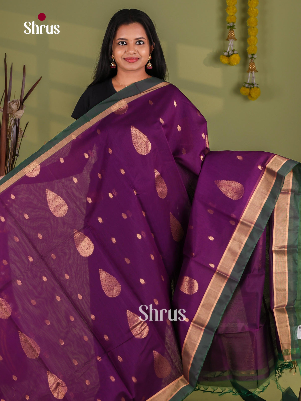 Silk Cotton Saree - EJ08566