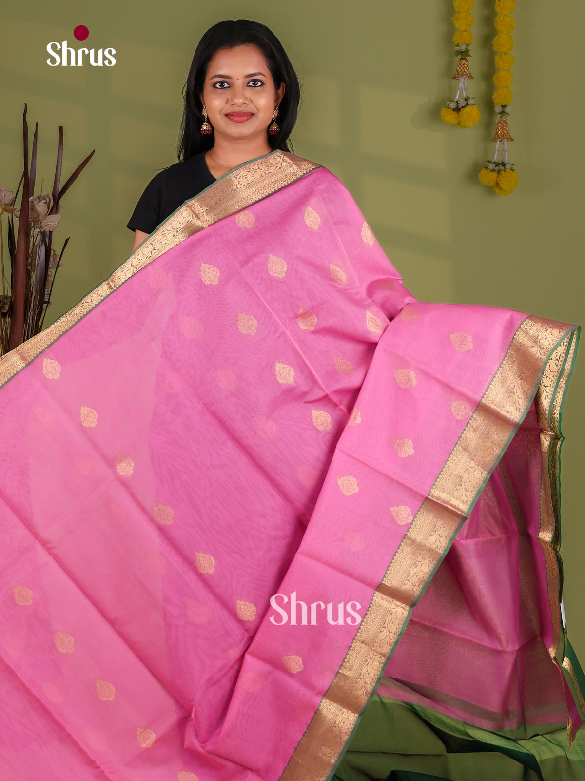Silk Cotton Saree - EJ08570