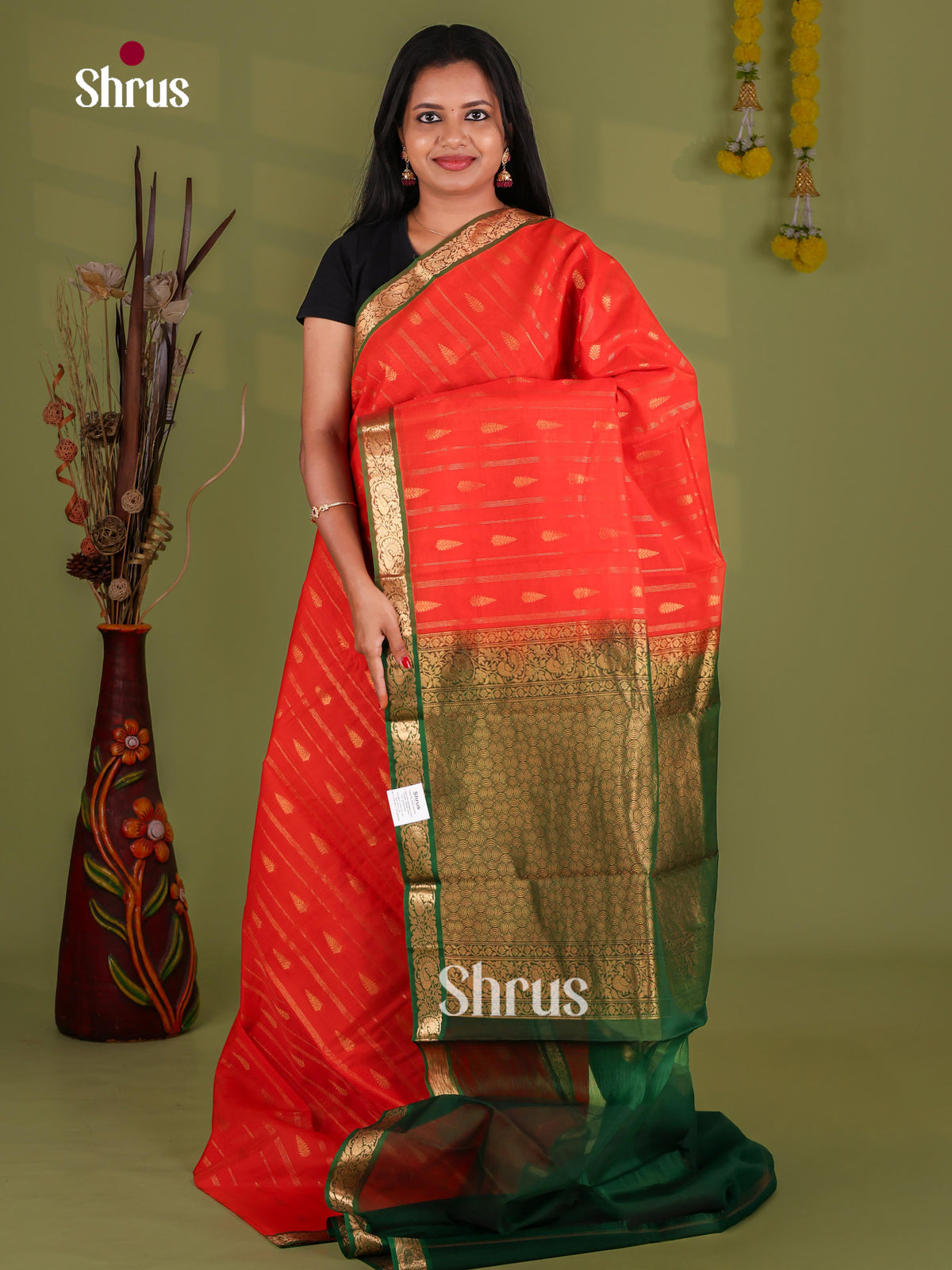 Silk Cotton Saree - EJ08580
