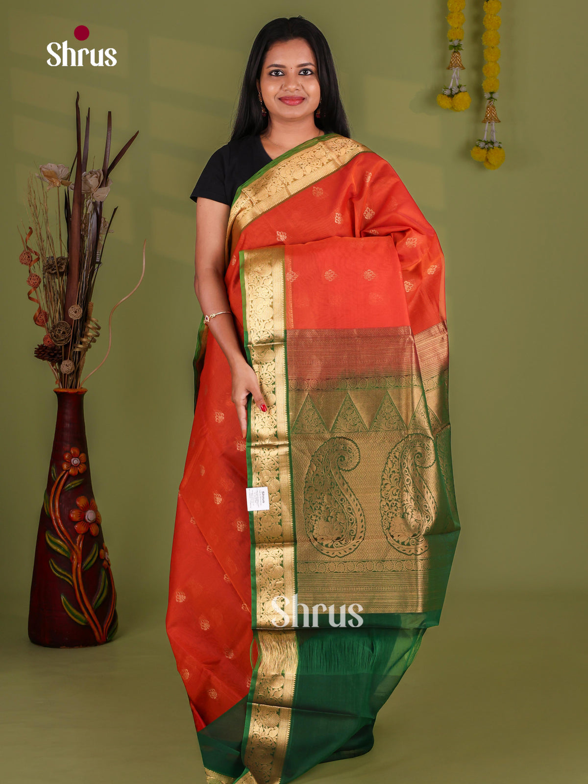 Silk Cotton Saree - EJ08582