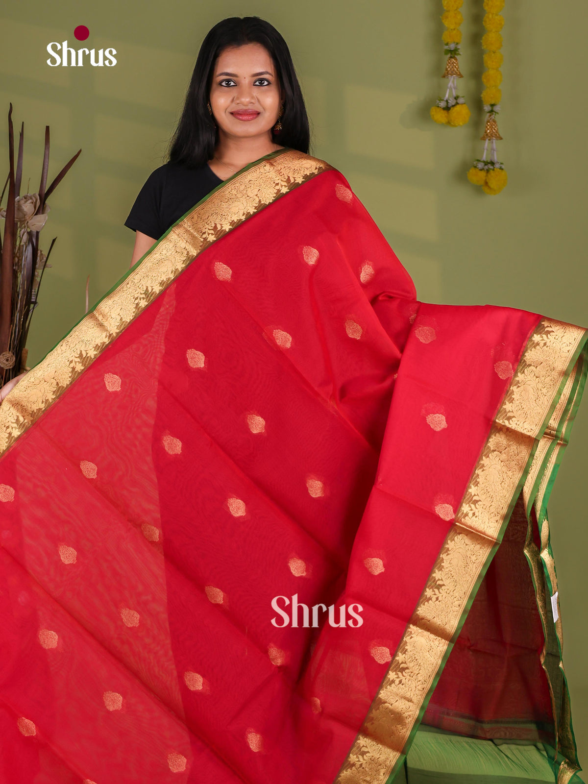 Silk Cotton Saree - EJ08587