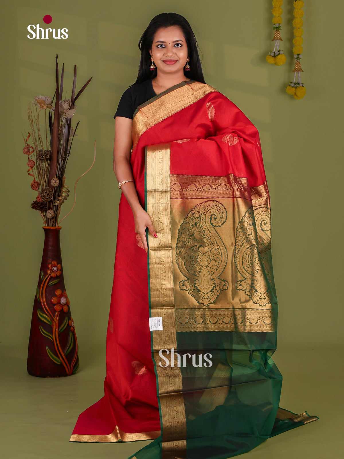 Silk Cotton Saree - EJ08597
