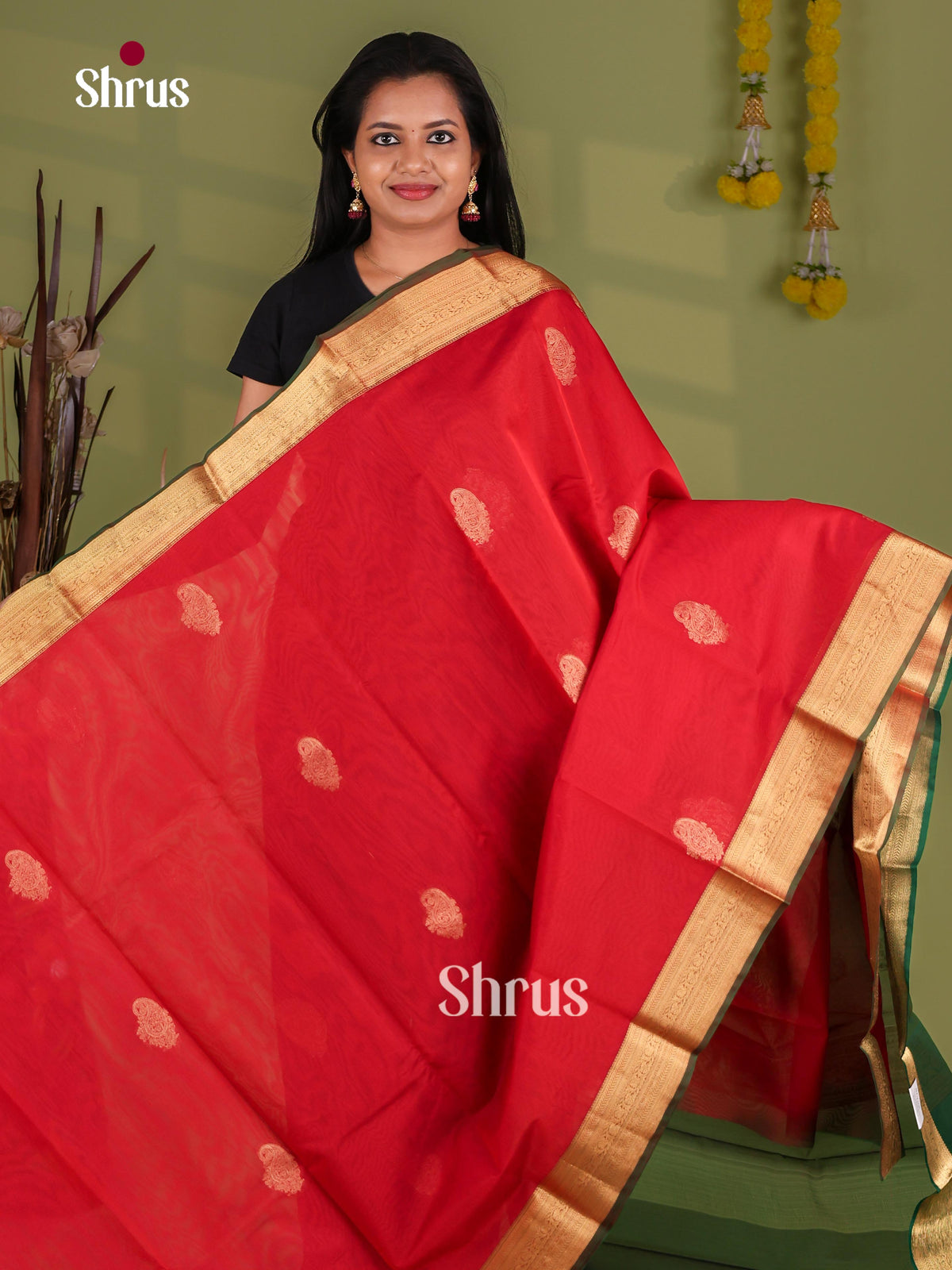 Silk Cotton Saree - EJ08597