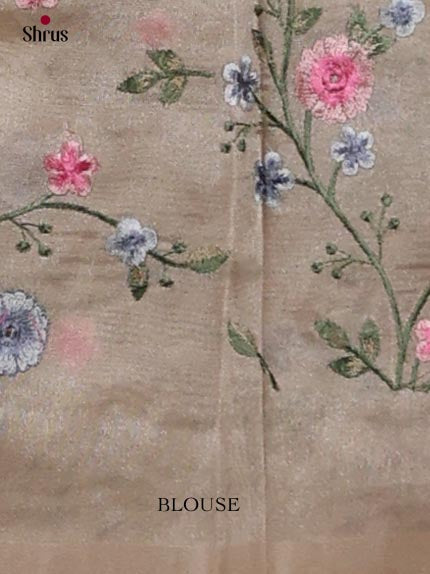 Tissue Embroidery Saree - EJ11056