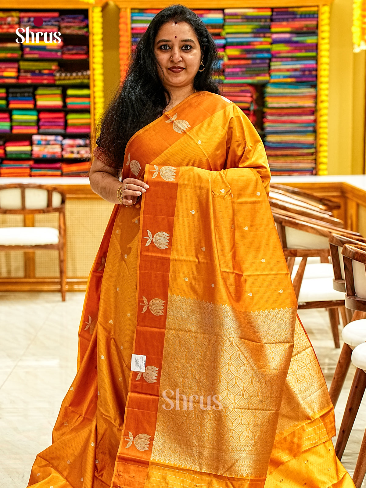 Apoorva Silk Saree - EJ11621