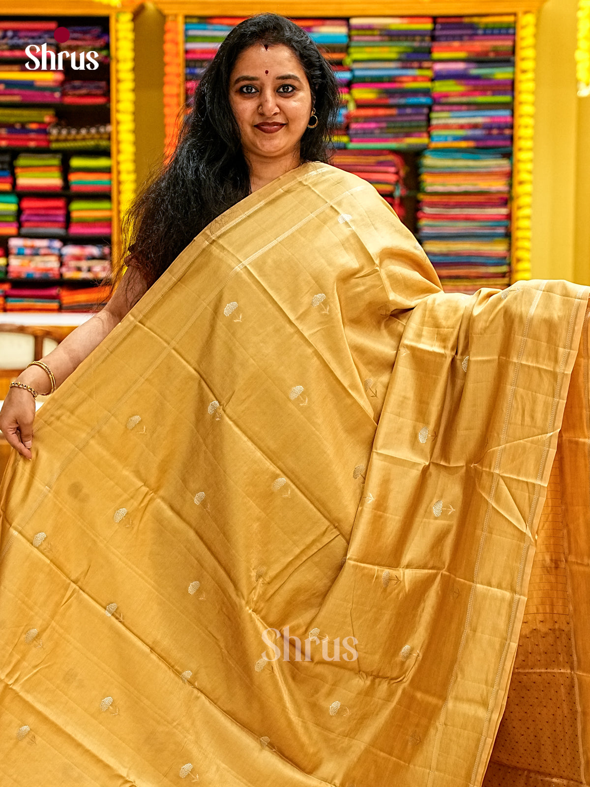 Apoorva Silk Saree - EJ11645