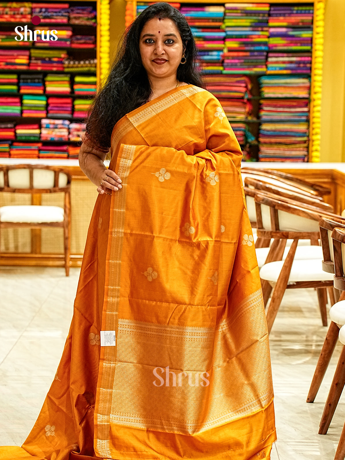 Apoorva Silk Saree - EJ11689