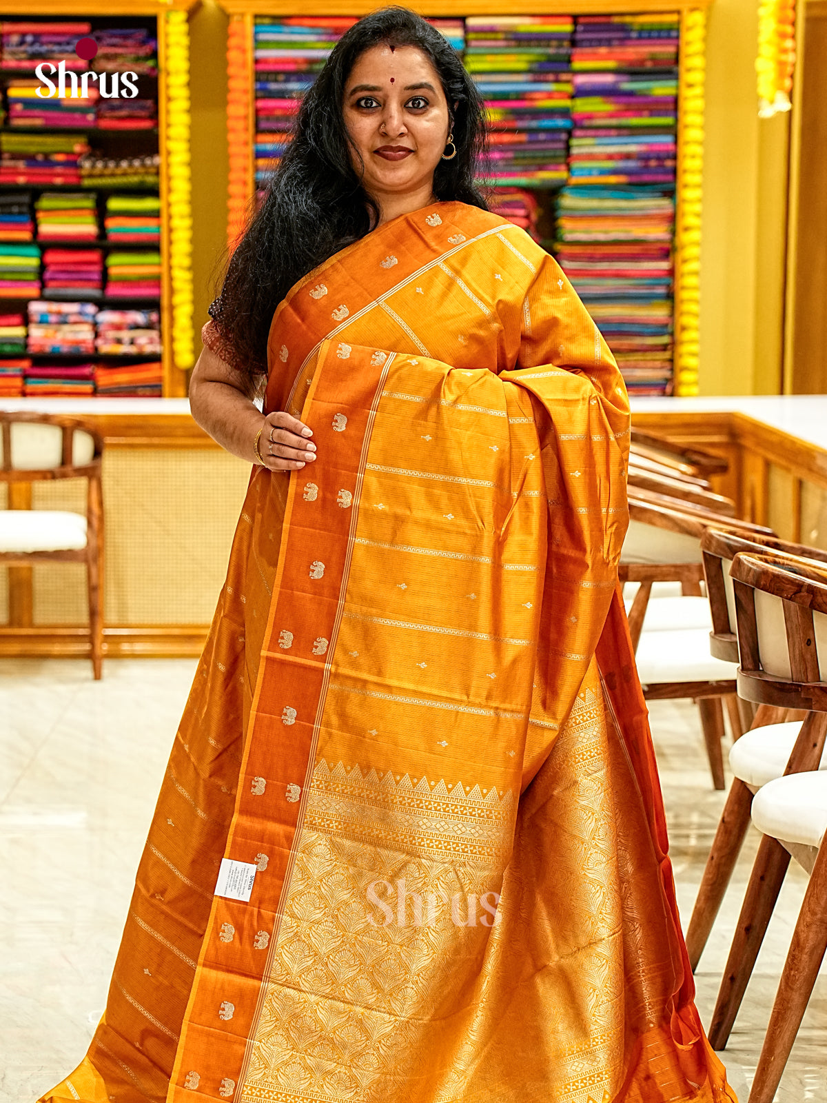 Apoorva Silk Saree - EJ11707