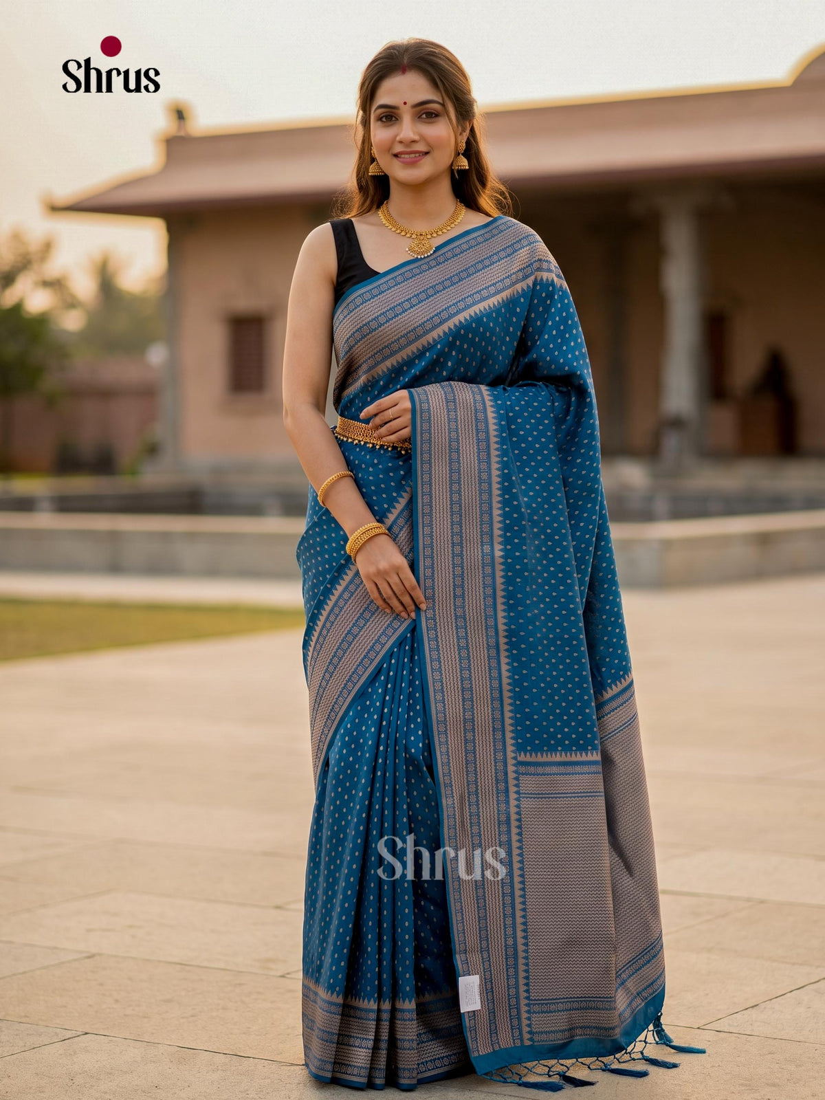 Jute Banaras Saree - EJ11823