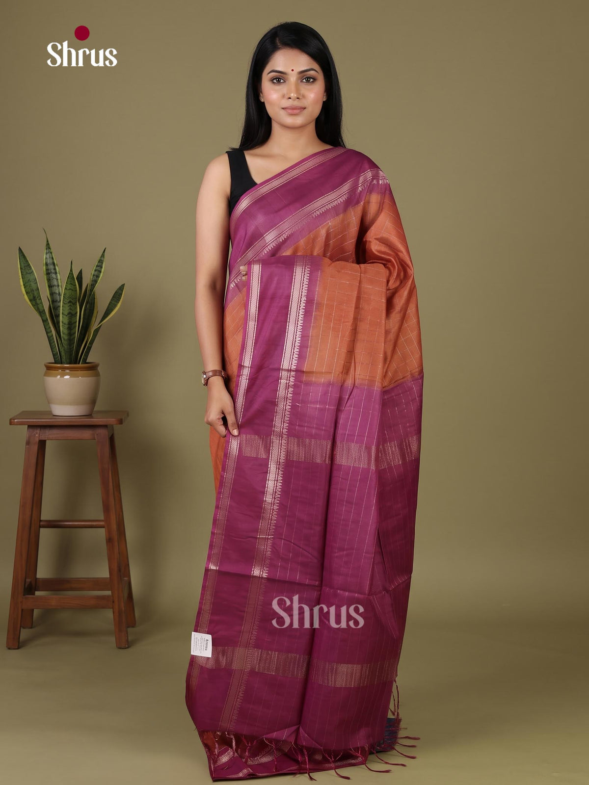 Zari Semi Tussar Saree - EJ12030