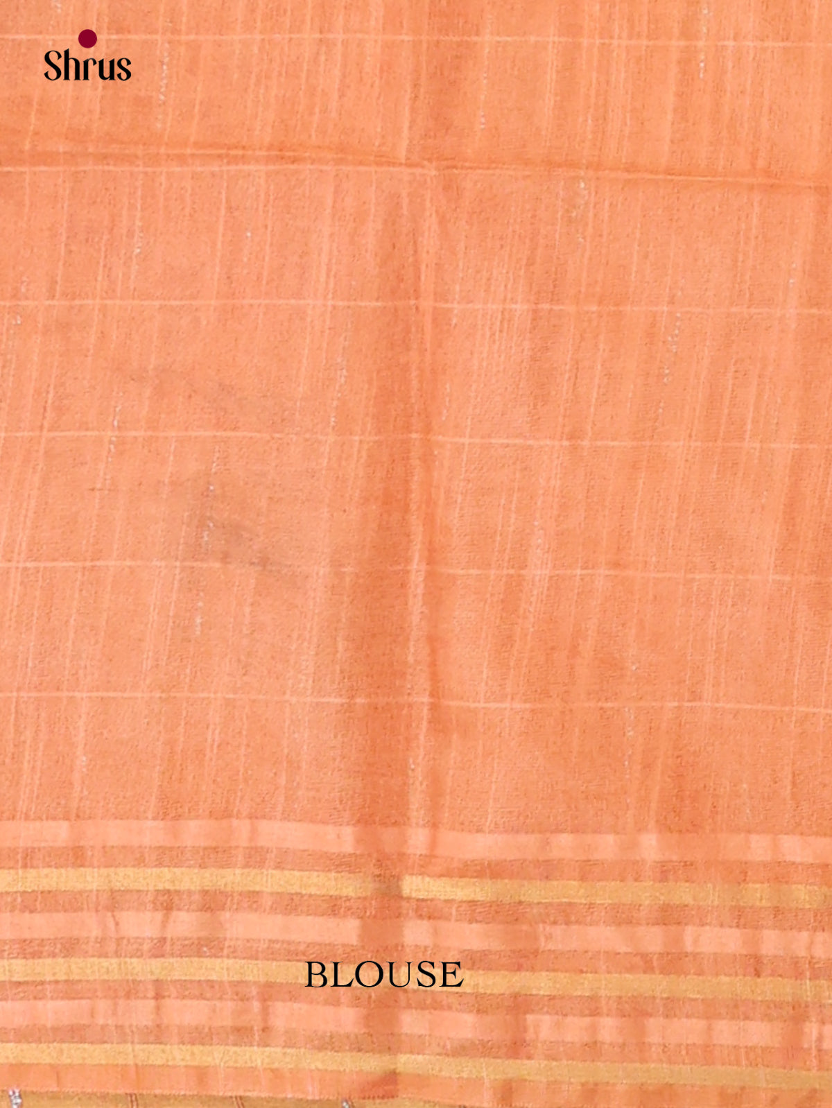 Zari Semi Tussar Saree - EJ13447