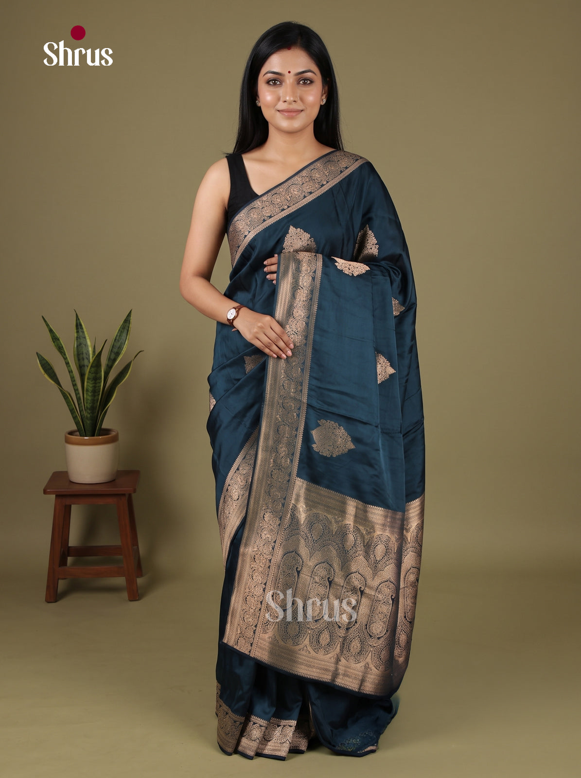 Banarasi Saree - EJ16009
