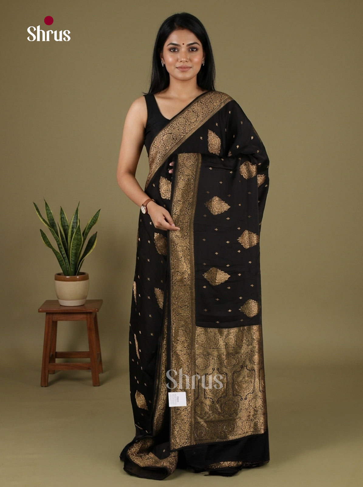 Banarasi Saree - EJ16010