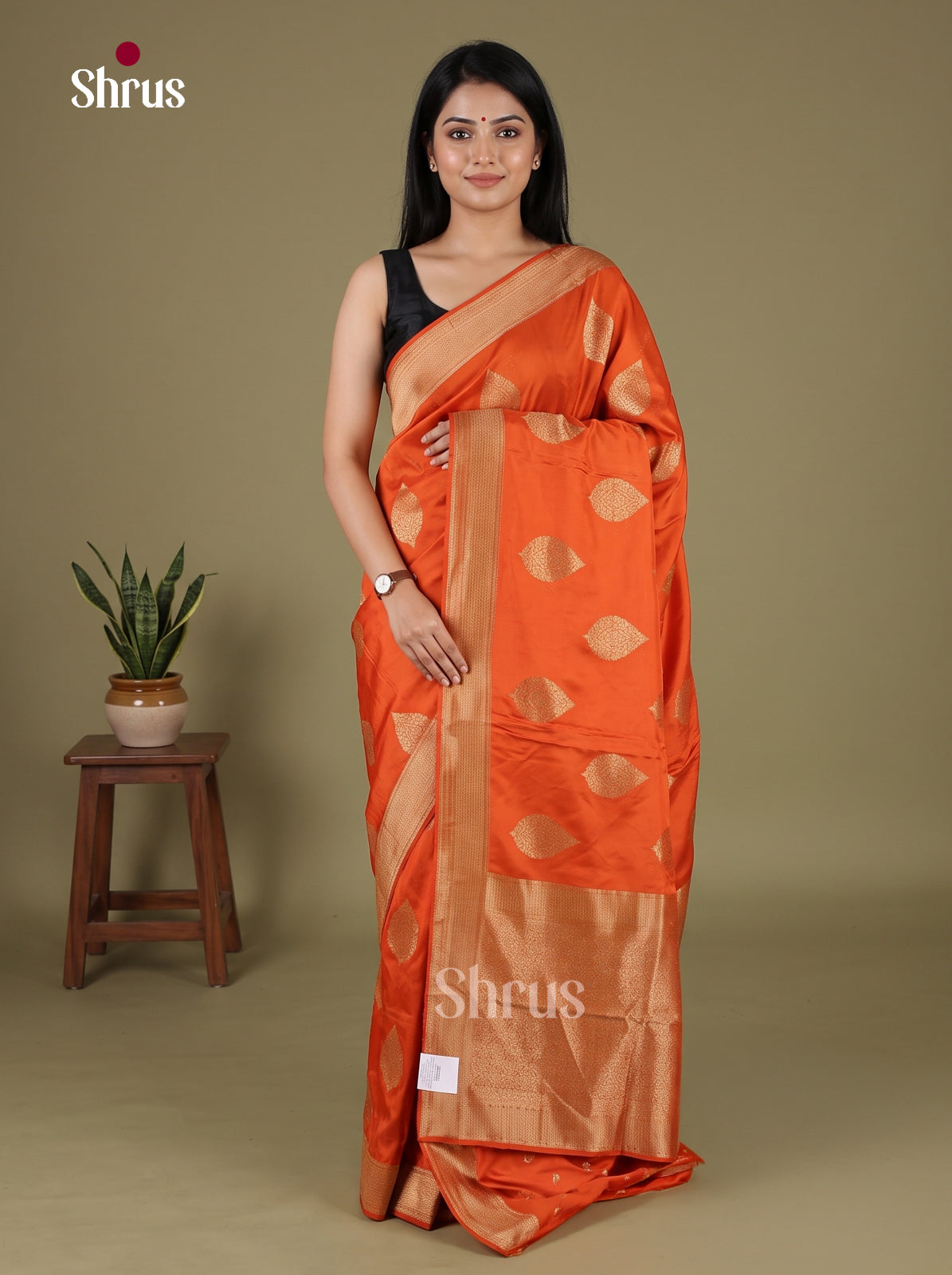 Banarasi Saree - EJ16011