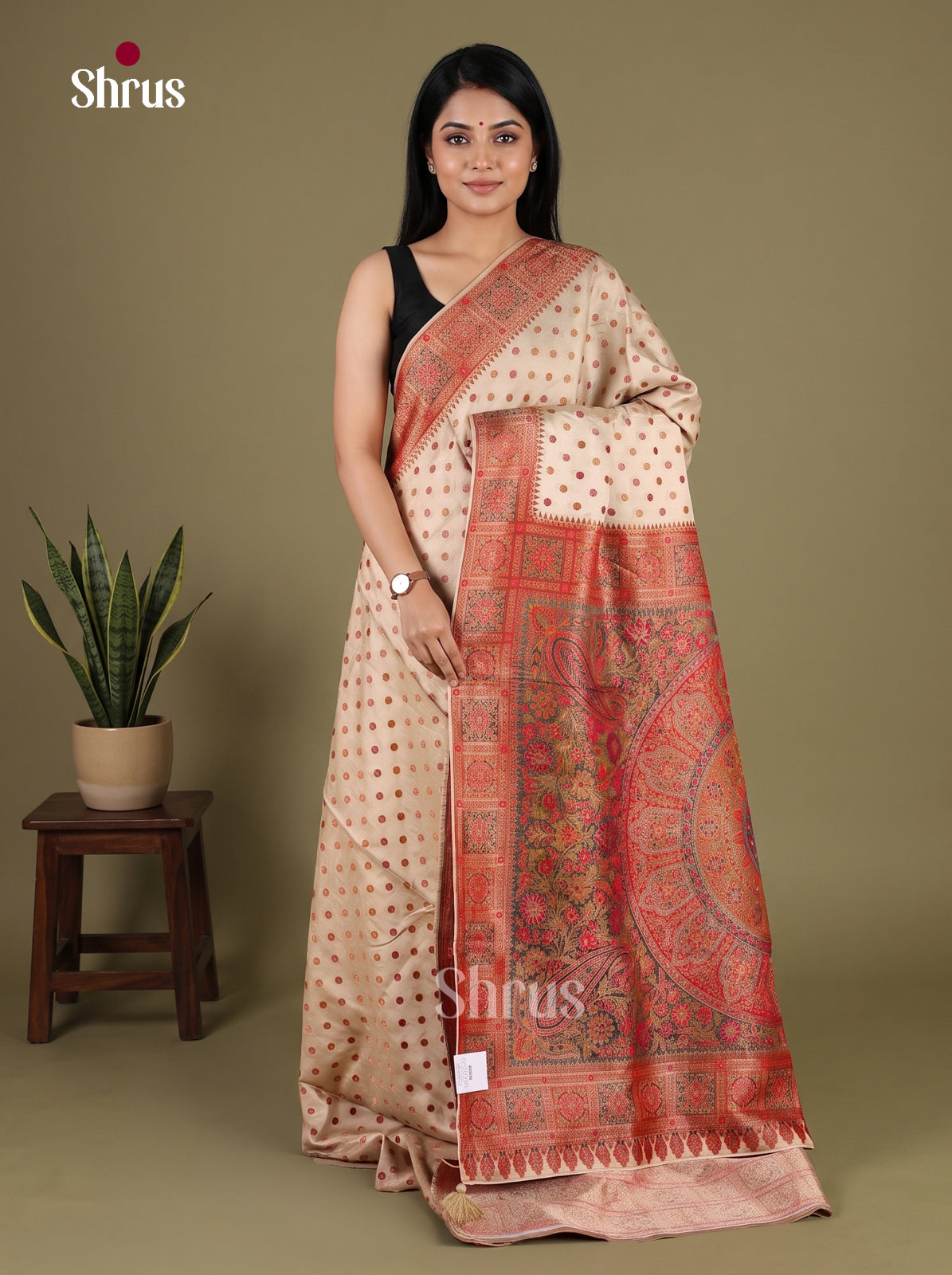 Banarasi Saree - EJ16019
