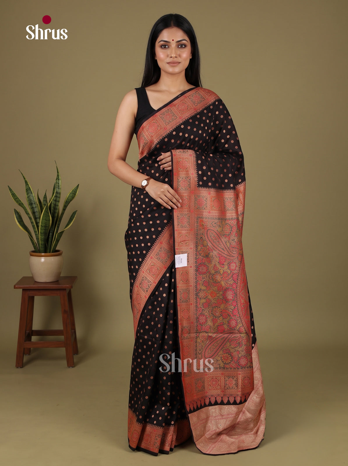 Banarasi Saree - EJ16021