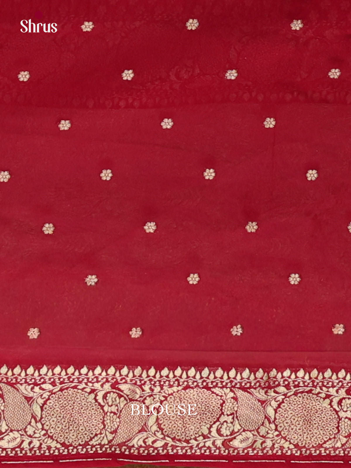 Banarasi Saree - EJ16023