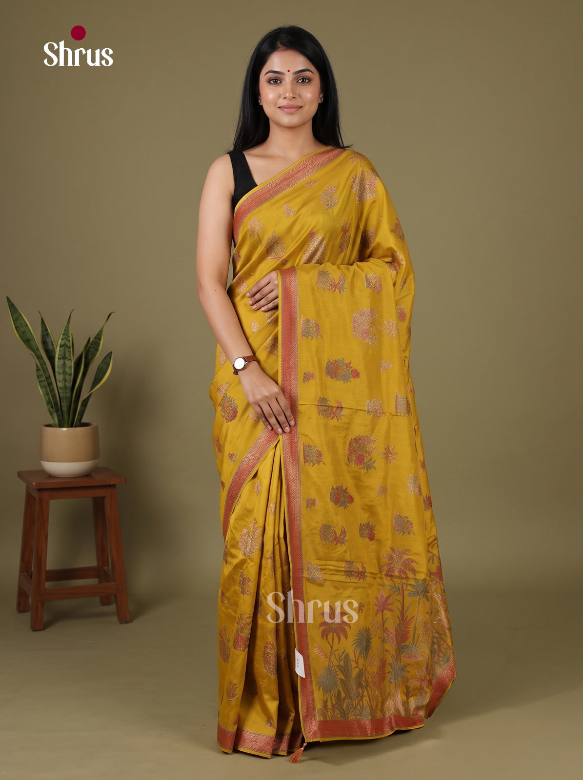 Banarasi Saree - EJ16027