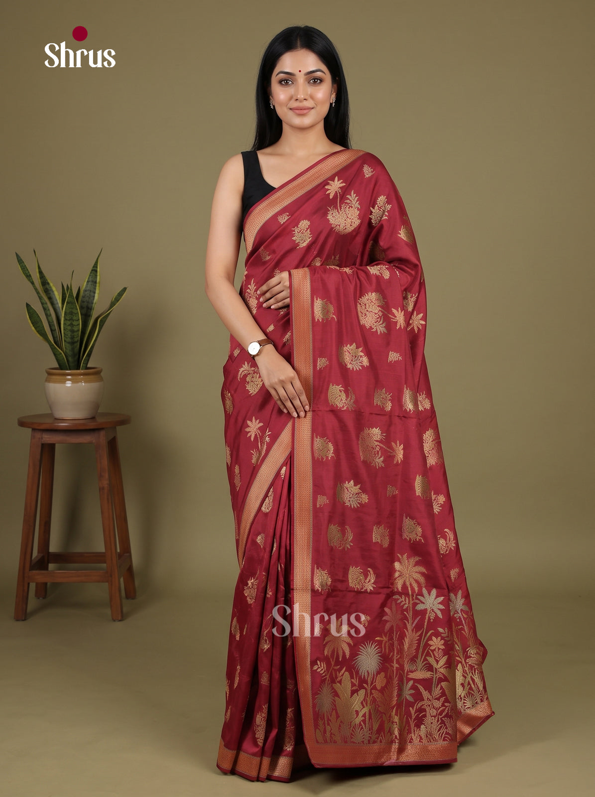 Banarasi Saree - EJ16028