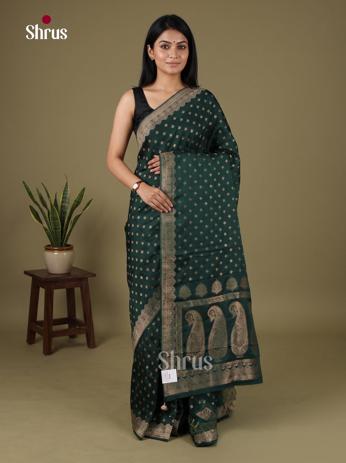 Banarasi Saree - EJ16034