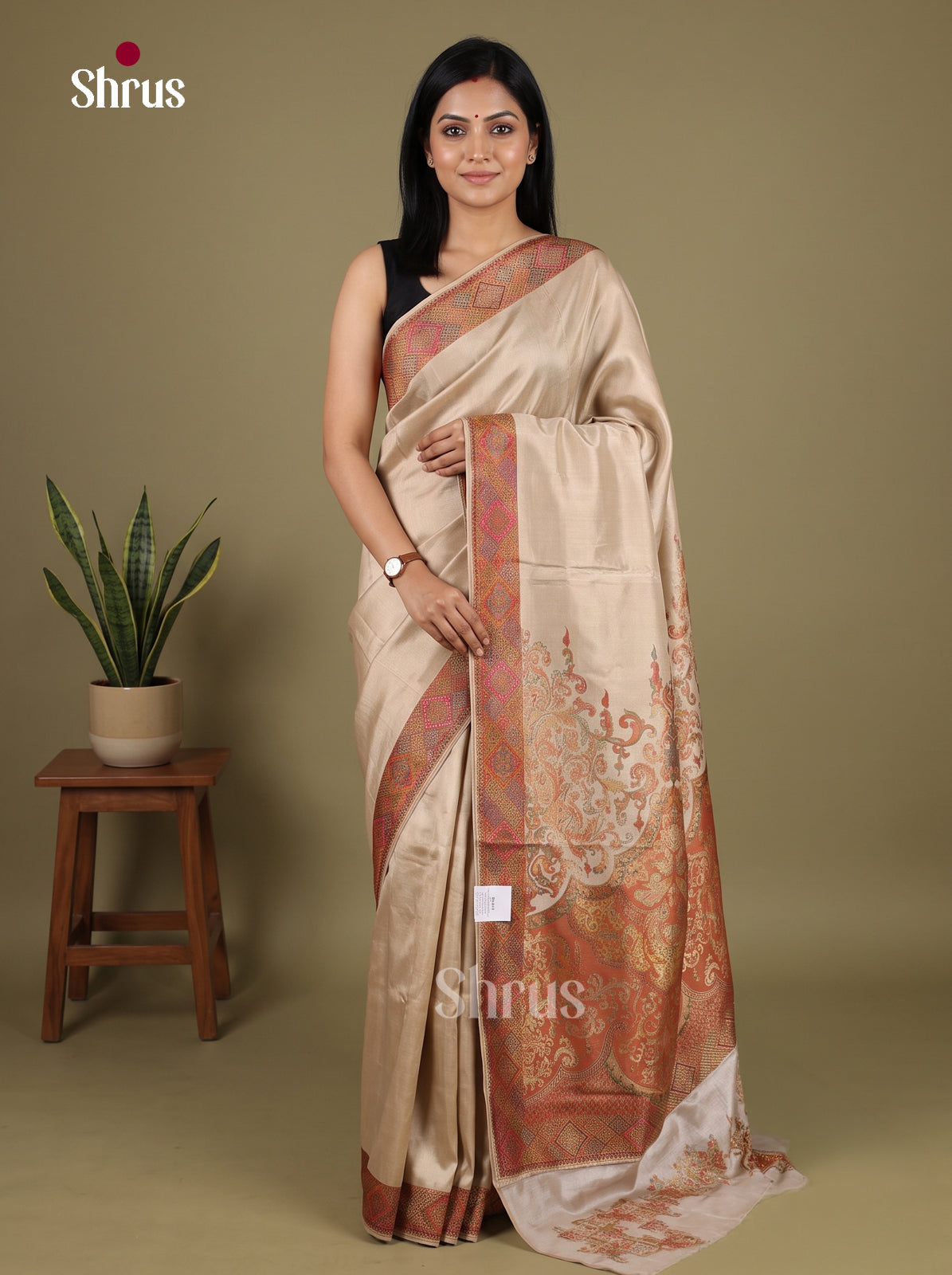 Banarasi Saree - EJ16037