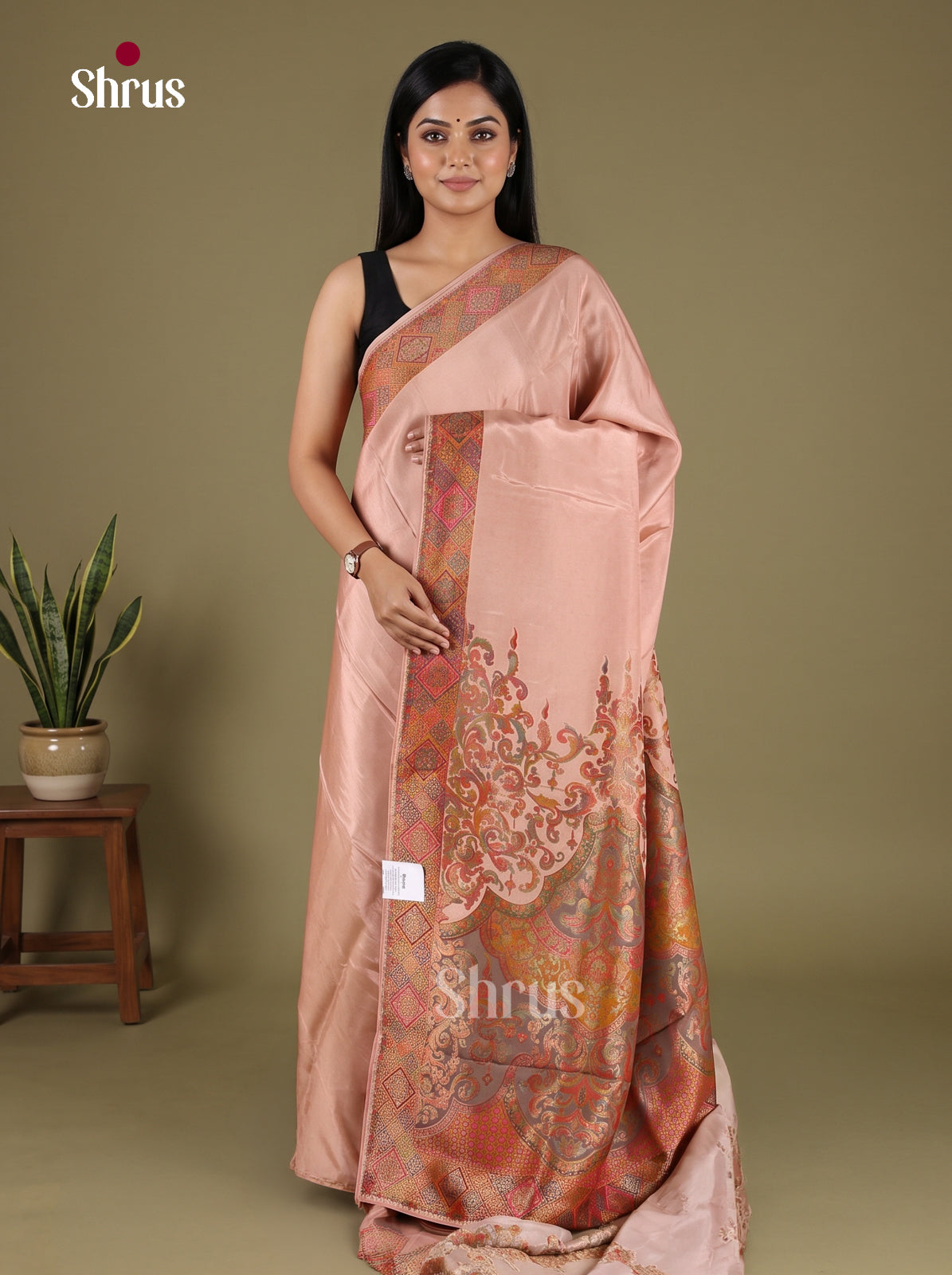 Banarasi Saree - EJ16038
