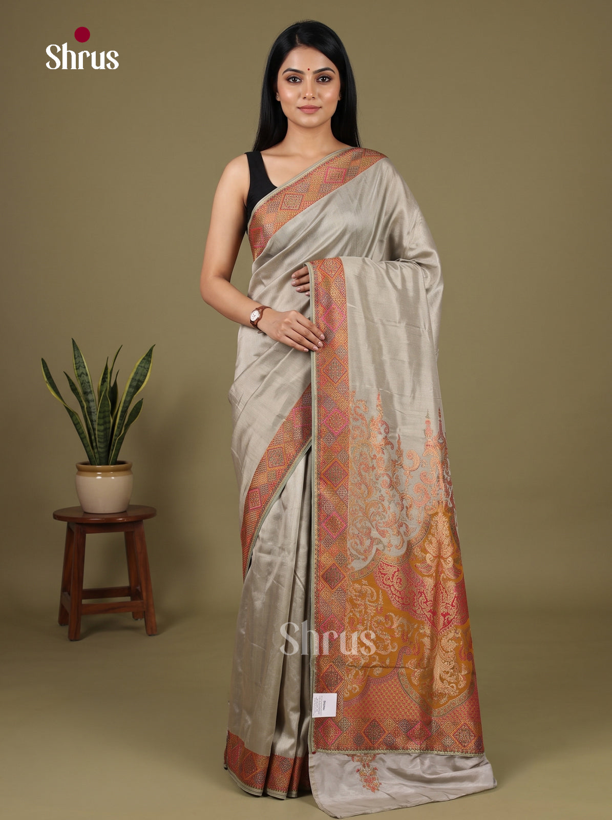 Banarasi Saree - EJ16040