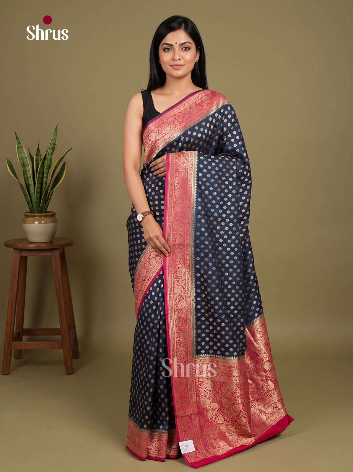 Banarasi Saree - EJ16041