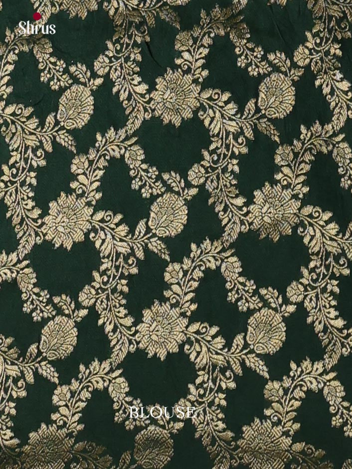 Banarasi Saree - EJ16171