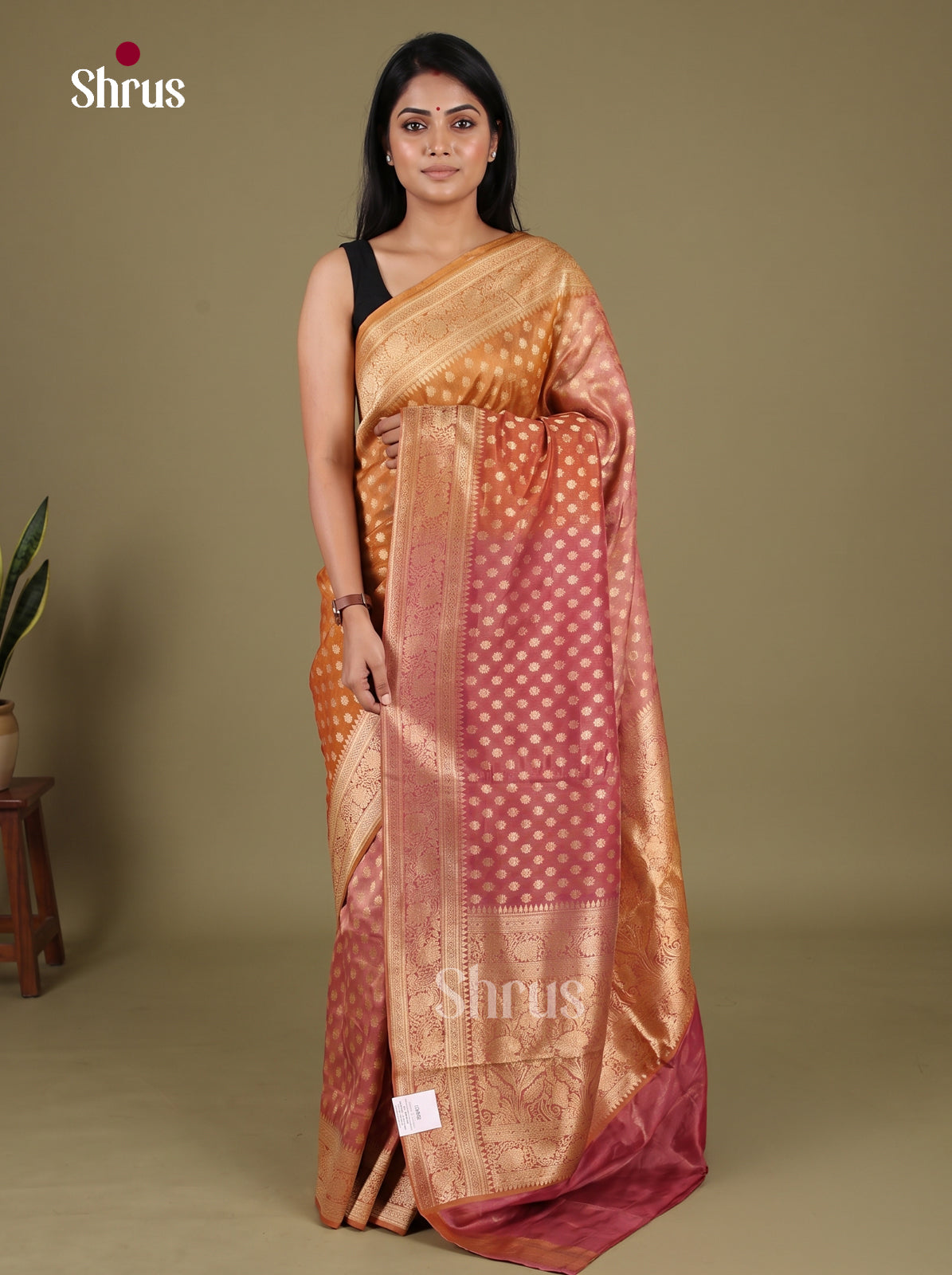 Banarasi Saree - EJ16177