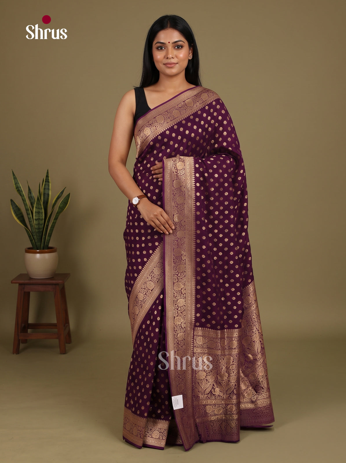 Banarasi Saree - EJ16181