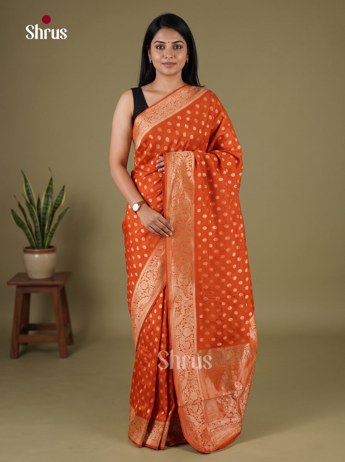 Banarasi Saree - EJ16186