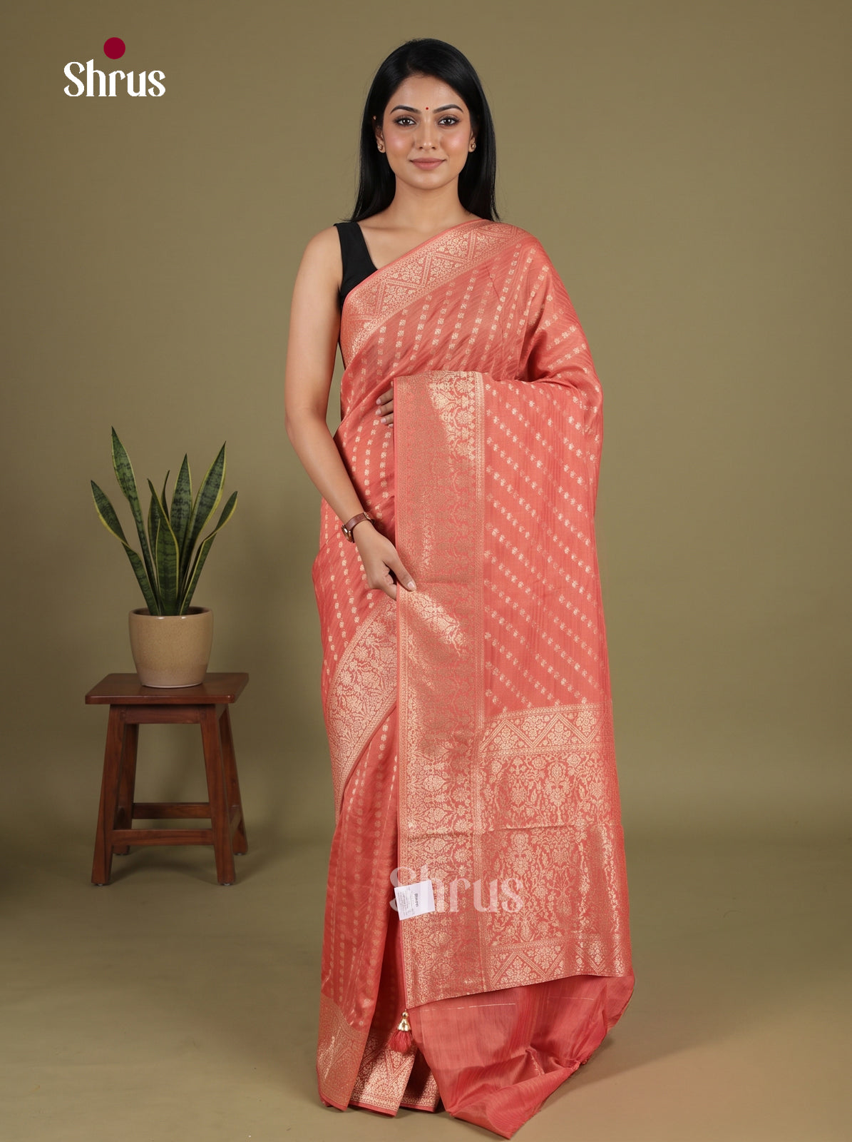 Banarasi Saree - EJ16191