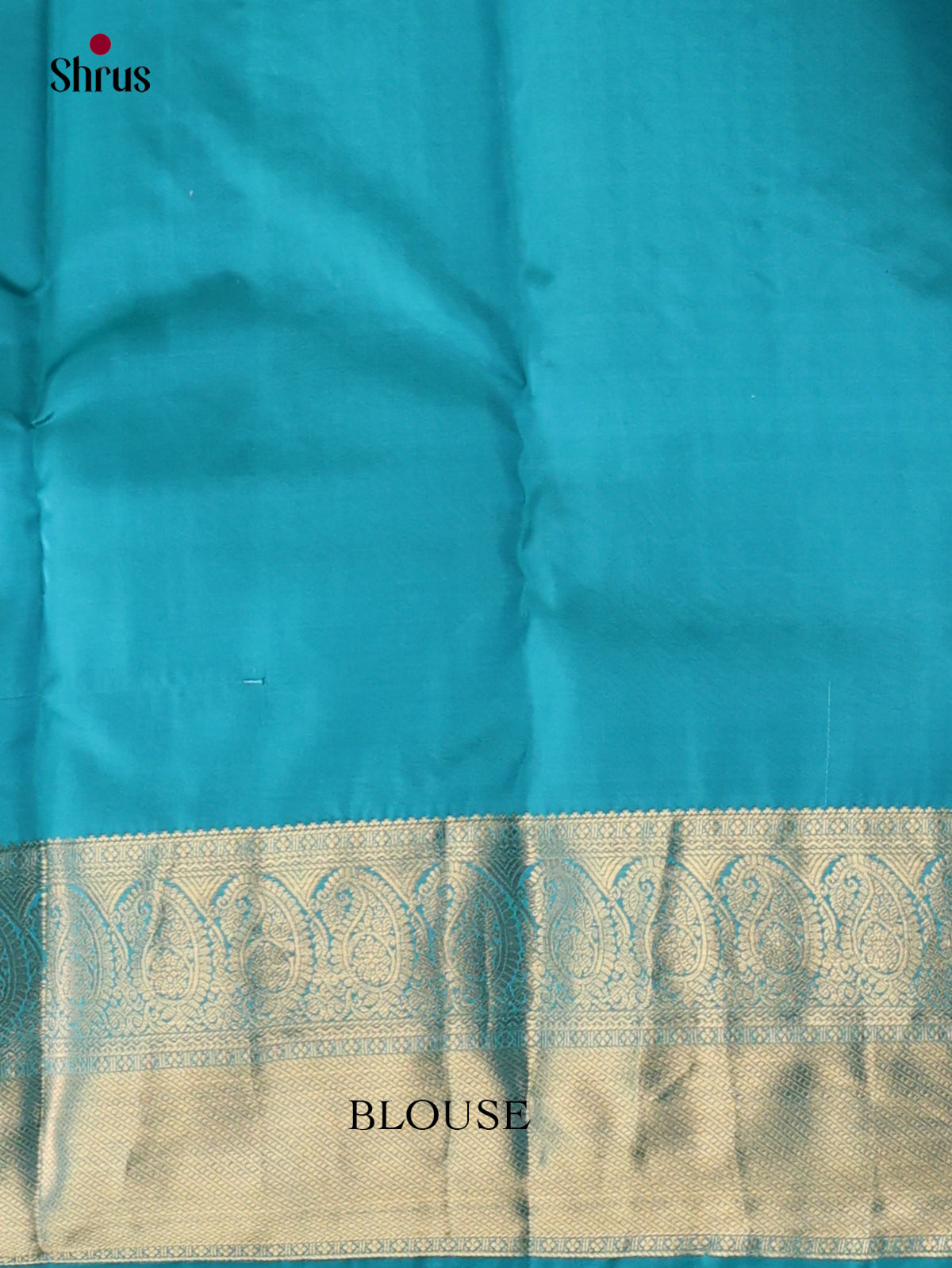 Kanchipuram-halfpure Saree - EJ17055