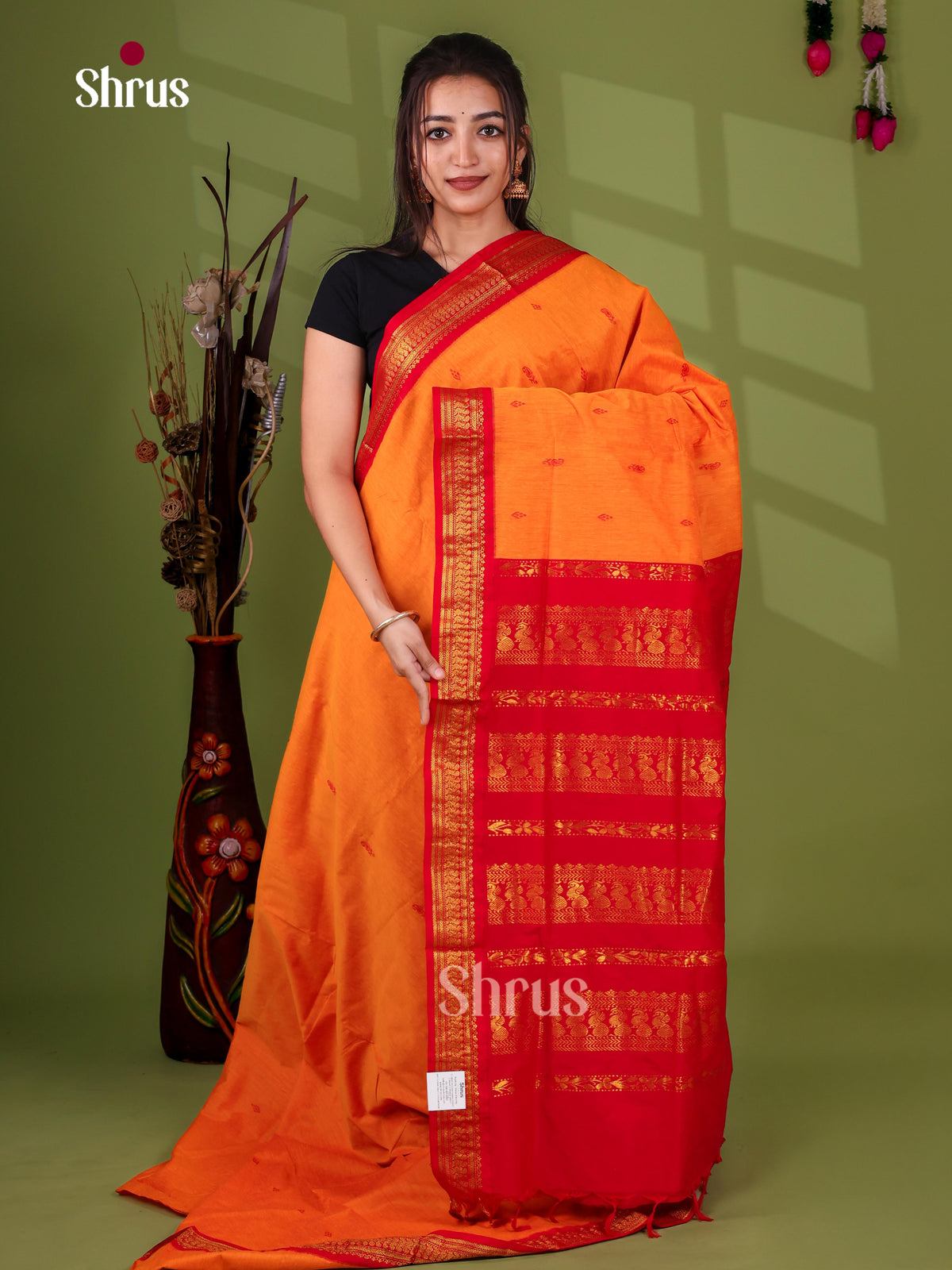 Kalyani Cotton Saree - EJ22017