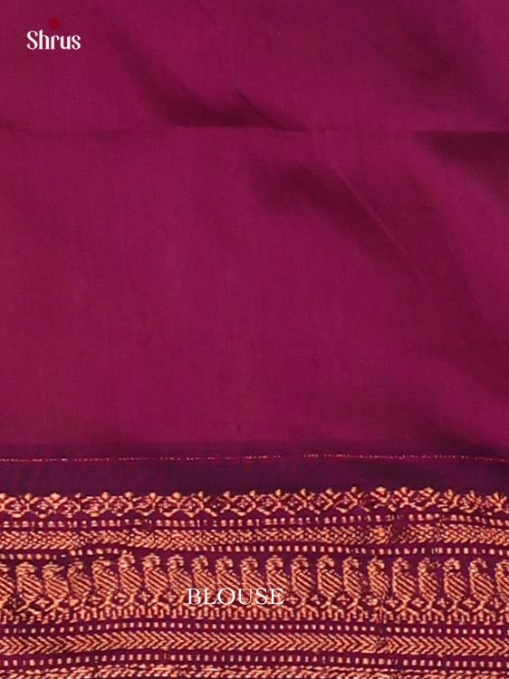 Kalyani Cotton Saree - EJ22091